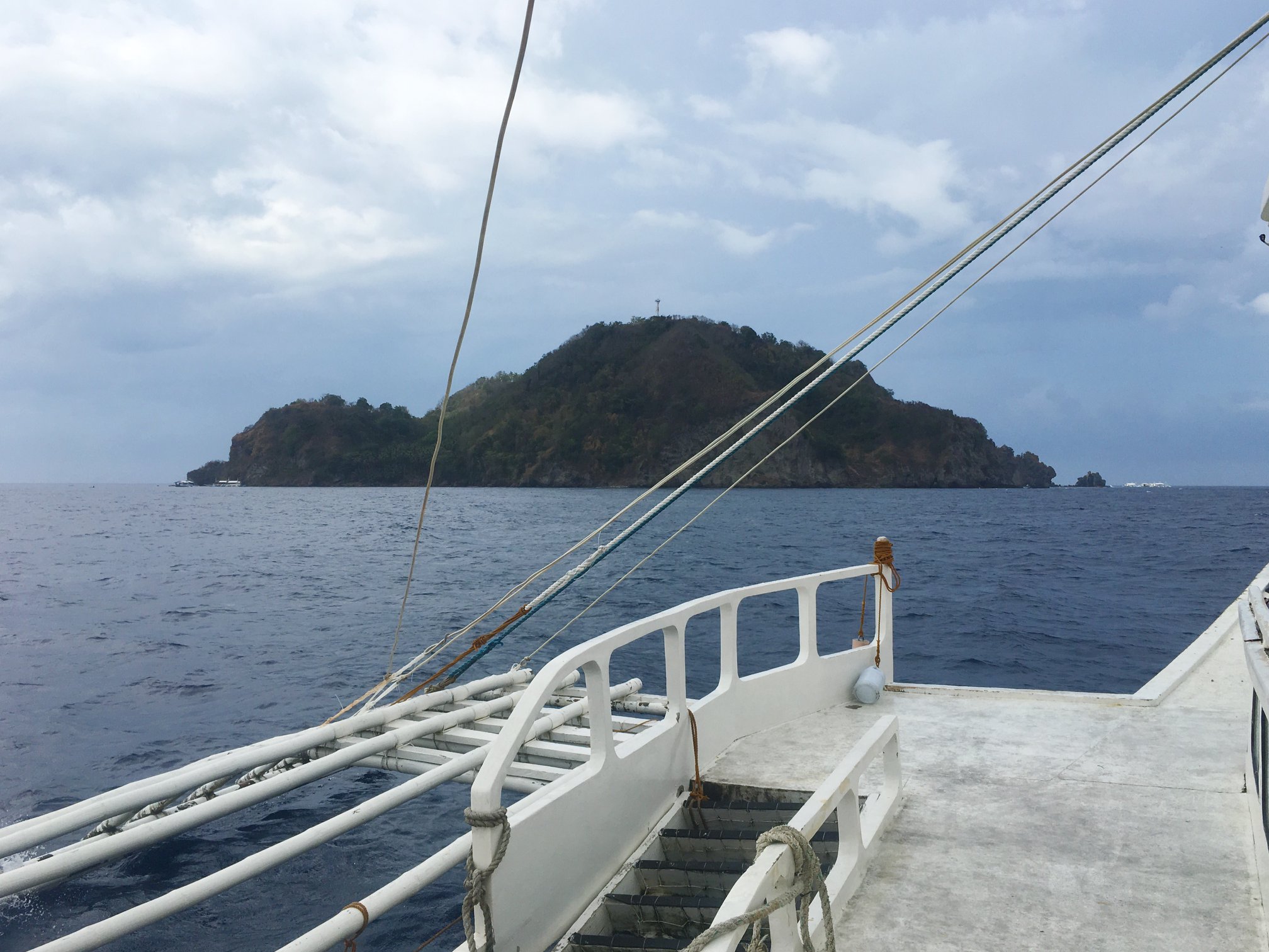 60137373_10216891838481870_3833473442296889344_o