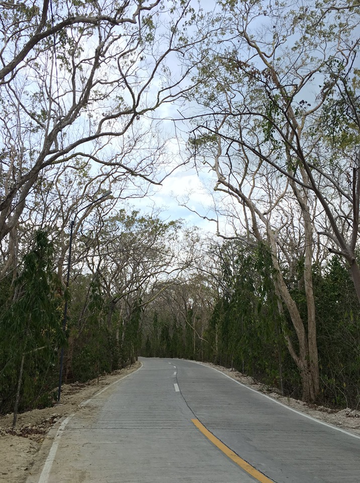 60714526_10216939887763072_159783507944538112_n